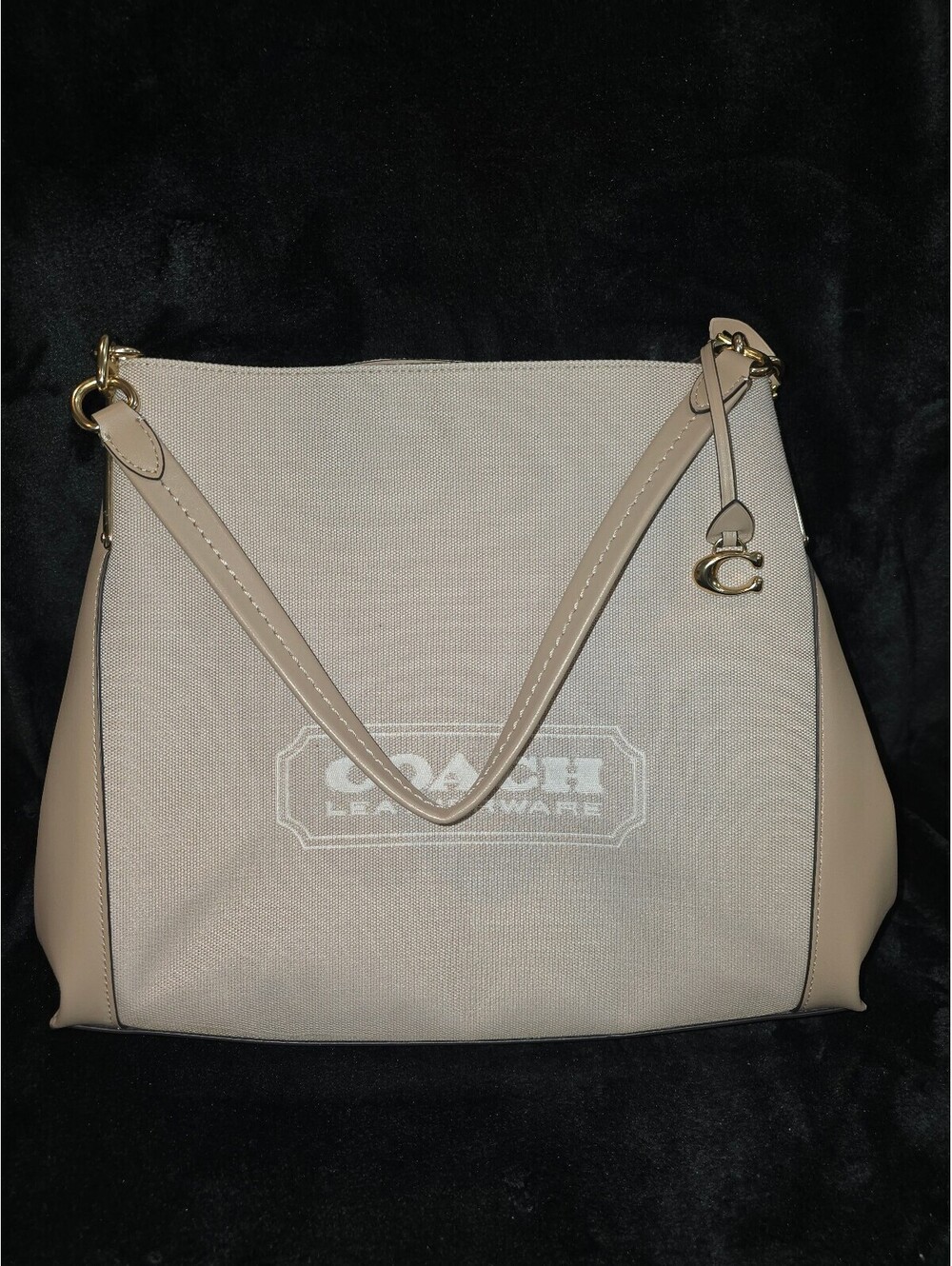 44. 2023 Coach Badge Jacquard Dalton 31